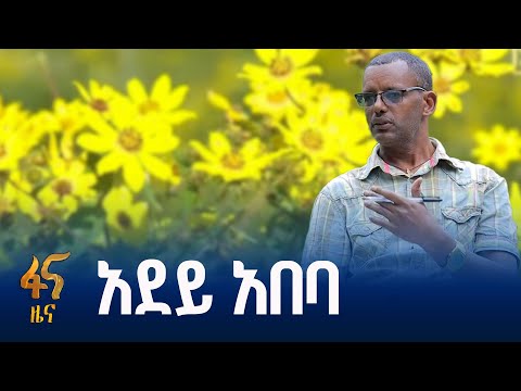 የአዲስ ዓመት ብስራት አደይ አበባ