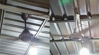 Fans in a restaurant