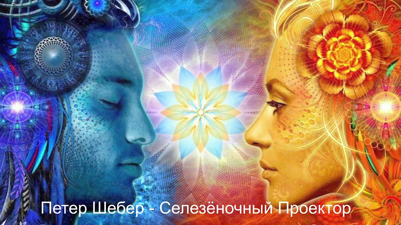 Петер Шебер о Селезеночных Проекторах