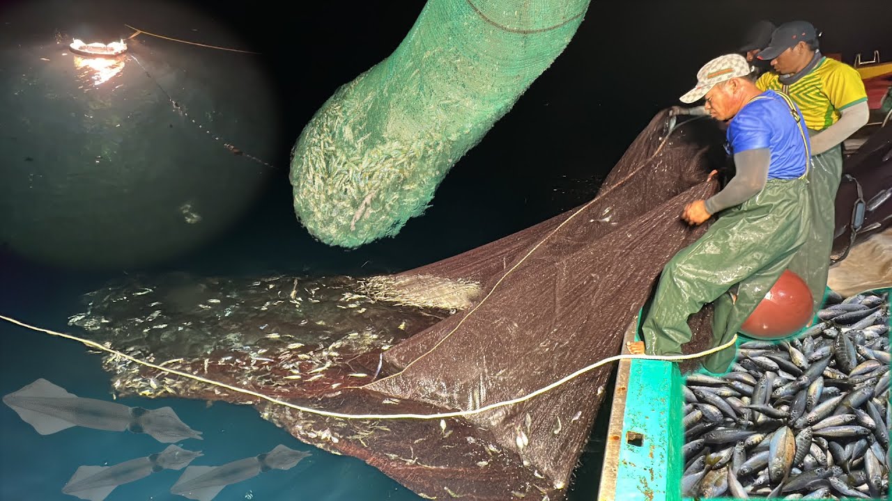 Nghề đèn nhân trạch thuyền gỗ to nhất làng chài nhân trạch - Dân Biển