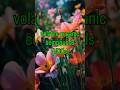 “Why Flowers Smell So Good? 🌸 Science Behind Fragrance!”#ScienceFacts #fragrance #VOCs #Pollination