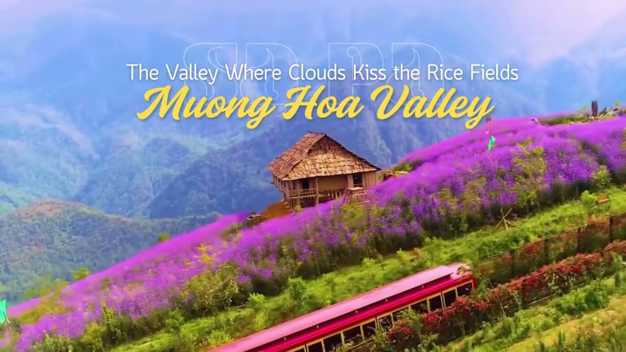 Muong Hoa Valley | Sapa’s Hidden Gem of Rice Terraces & Ethnic Culture 🇻🇳