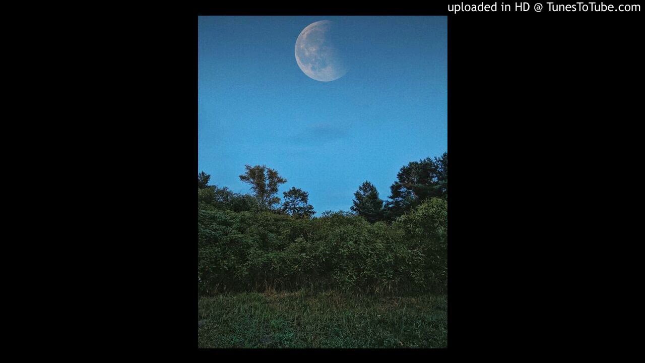 Inner Wave/Frank Ocean/Lofi Type Beat 'silver moon'