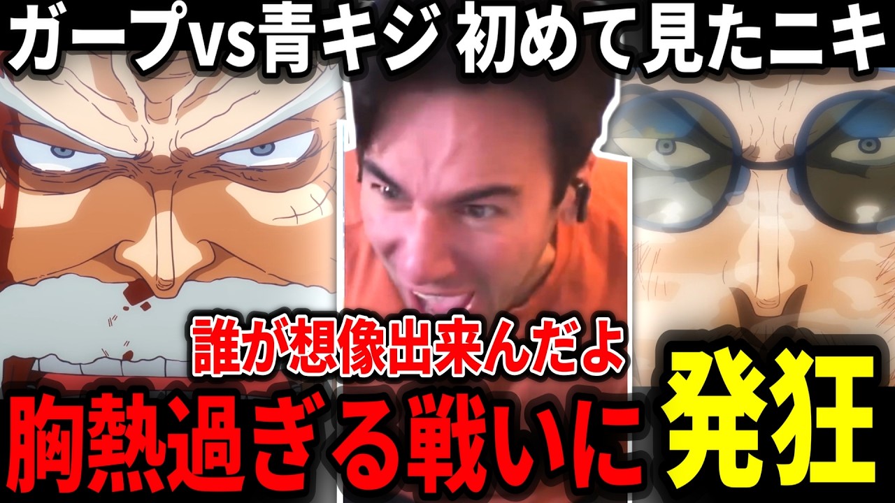 【ガープvs青キジ】男なら誰もが興奮するマッチアップに発狂するニコラスニキ【海外の反応】