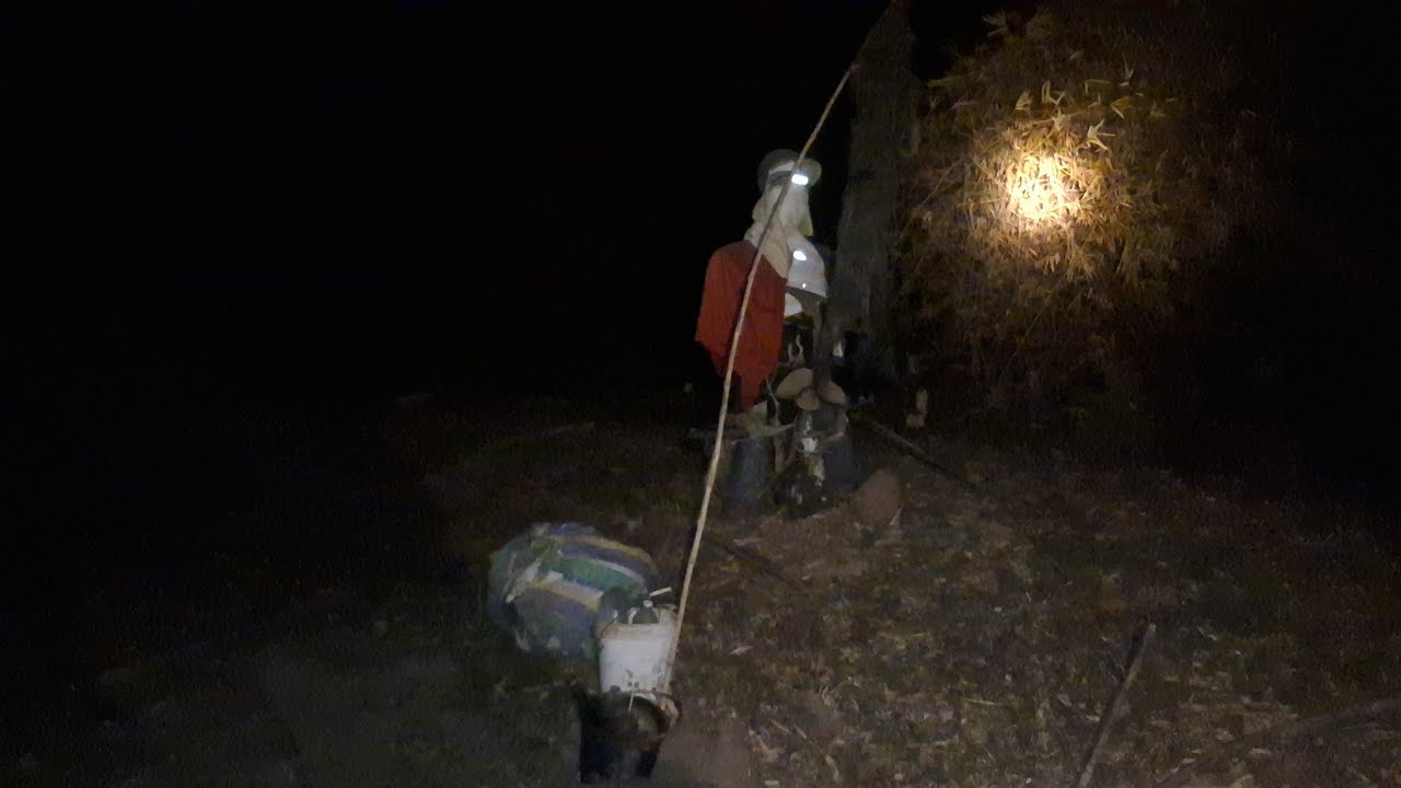 ขนหัวลุกยาบๆ คิดว่าผี มาใต้เขียดคนเดียว😥19 มกราคม ค.ศ. 2026