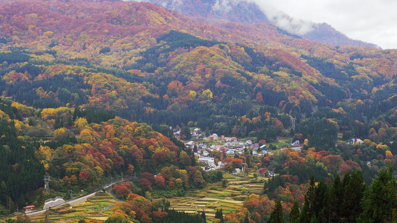 4K Ultra HD ] 秘境 秋山郷の紅葉 Akiyama-go in Autumn (Shot on RED