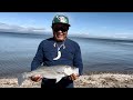 Striper fishing at Point Pinole 03/20-22/2024 2hrs on each day.