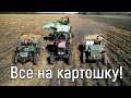 Все на картошку! Уборка картофеля в Новосибирской области 2022
