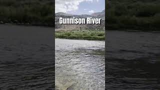 #ColoradoRivers – Overcast June Day in the Gunnison Gorge #shorts #flyfishing screenshot 4