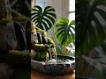 Soothing Piano Music with Waterfall Ambience | Deep Relaxation & Focus #relax #calmingmusic