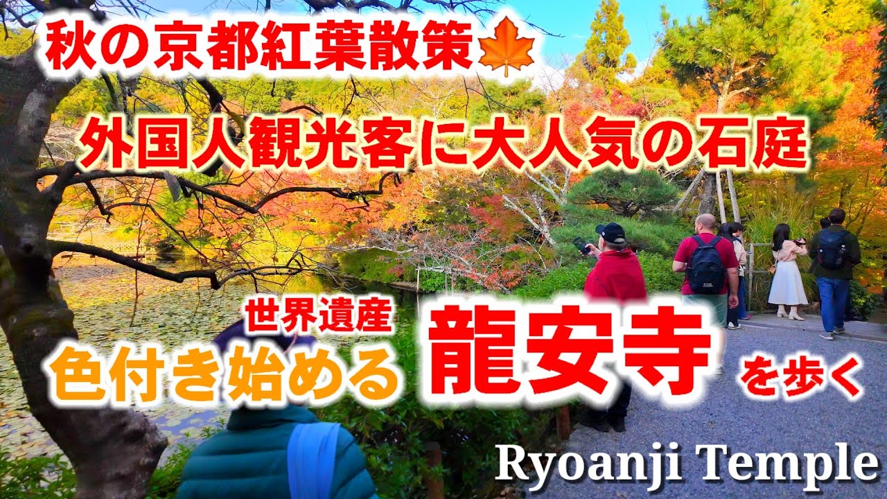 動画投稿中 F4 龍安寺 手描き水彩画 直筆原画 京都世界遺産 【公式通販】