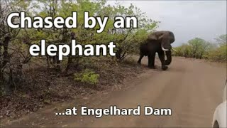 Engelhard Dam - the perfect place for exceptional game encounters