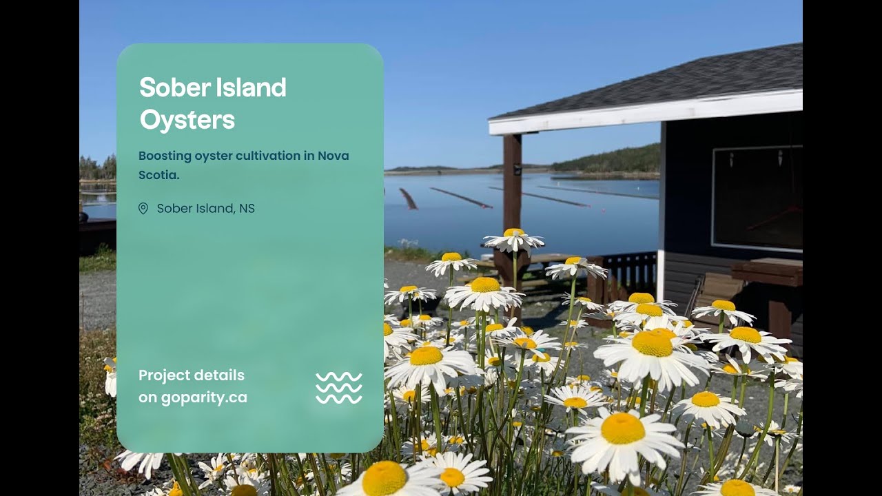 Impact Investing | Sober Island Oyster info session