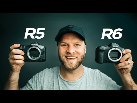 Compared Are The Canon Eos R, Rp, R5, And R6 Cameras.