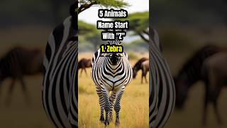 Top 5 Animals Name Start With Letter Z Zebra
