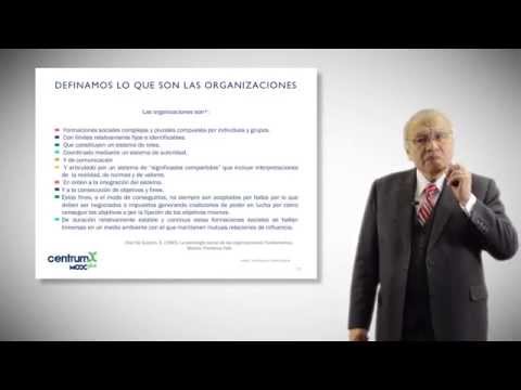 CO Módulo 1: Introducción al Comportamiento Organizacional y Competencias - Parte 3