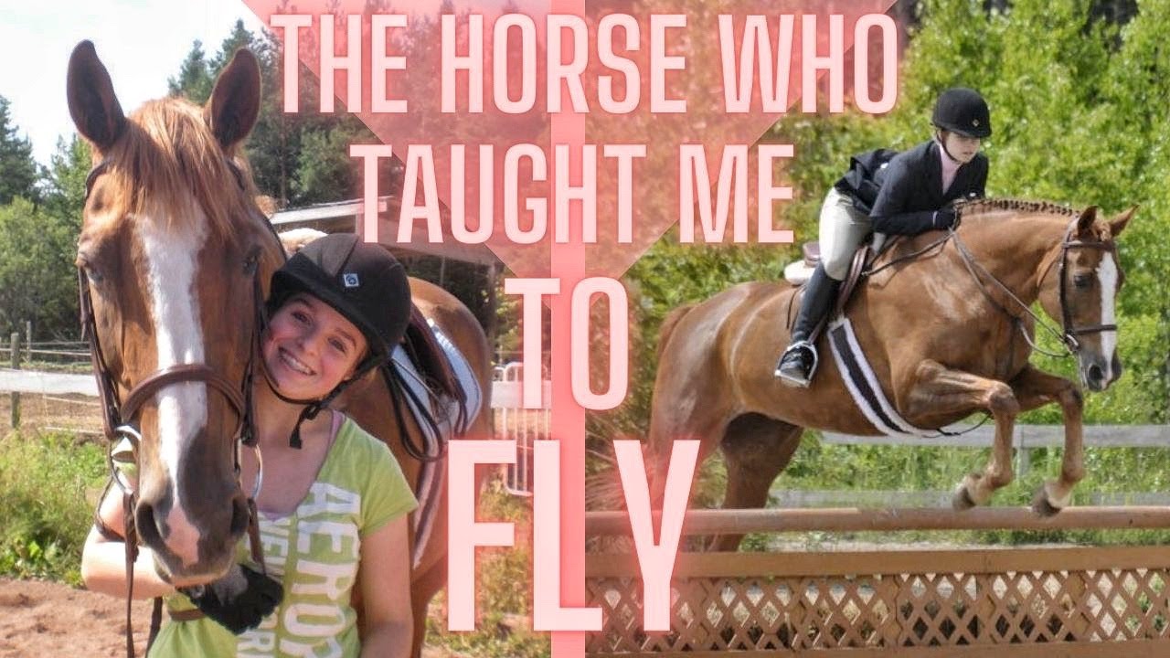 THE HORSE WHO TAUGHT ME TO FLY: Annabelle's Story // Kaitehh Equestrian