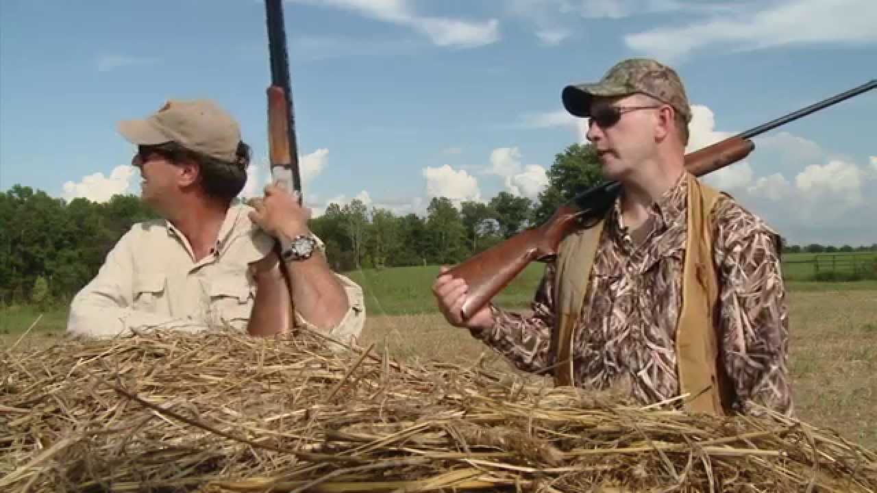 Dove Hunt with Commissioner Johnson