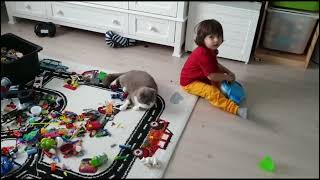 Fatih Selim Misafir Olarak Gittiğimiz Evin Kedisi Ile Arkadaş Oldu