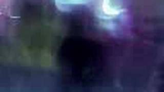 None (Video-0005.mpeg)