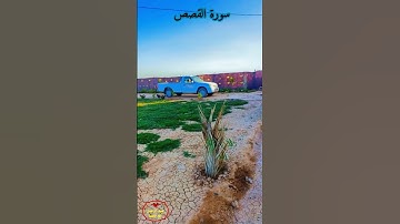 آيات من سورة القصص بصوت القارئ الشيخ عبد الرحمن العبد القادر