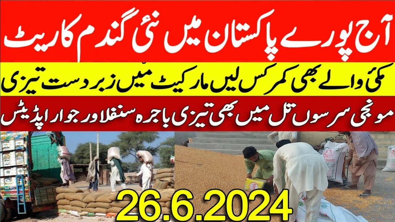 wheat price in pakistan/wheat price today in punjab/Sarso makki munji ...