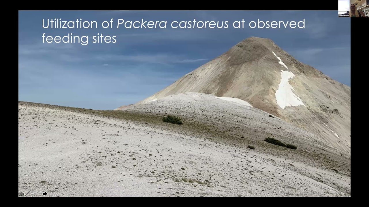 Conservation Implications from Three Years of Monitoring of Rare Plants in the Tushar Mountains