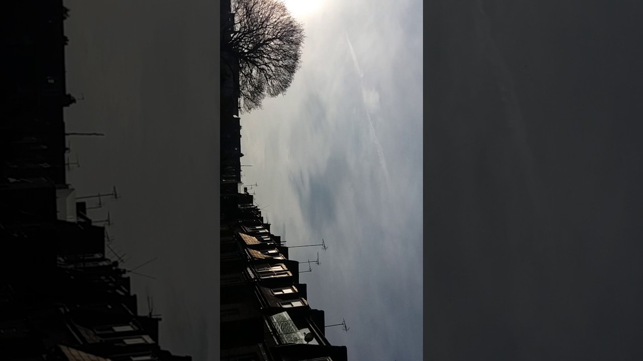 Petrie her boyfriend and a skywatch.  London Uk 7th Dec. 2016