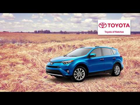 Pro Auto Natchez Ms