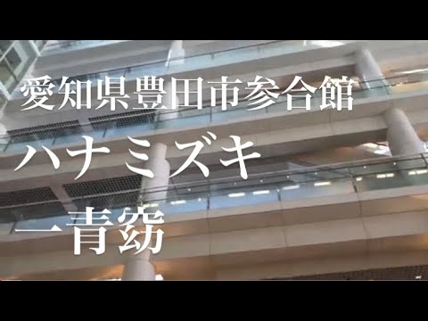 【ストリートピアノ】一青窈 / ハナミズキ弾いてみた←