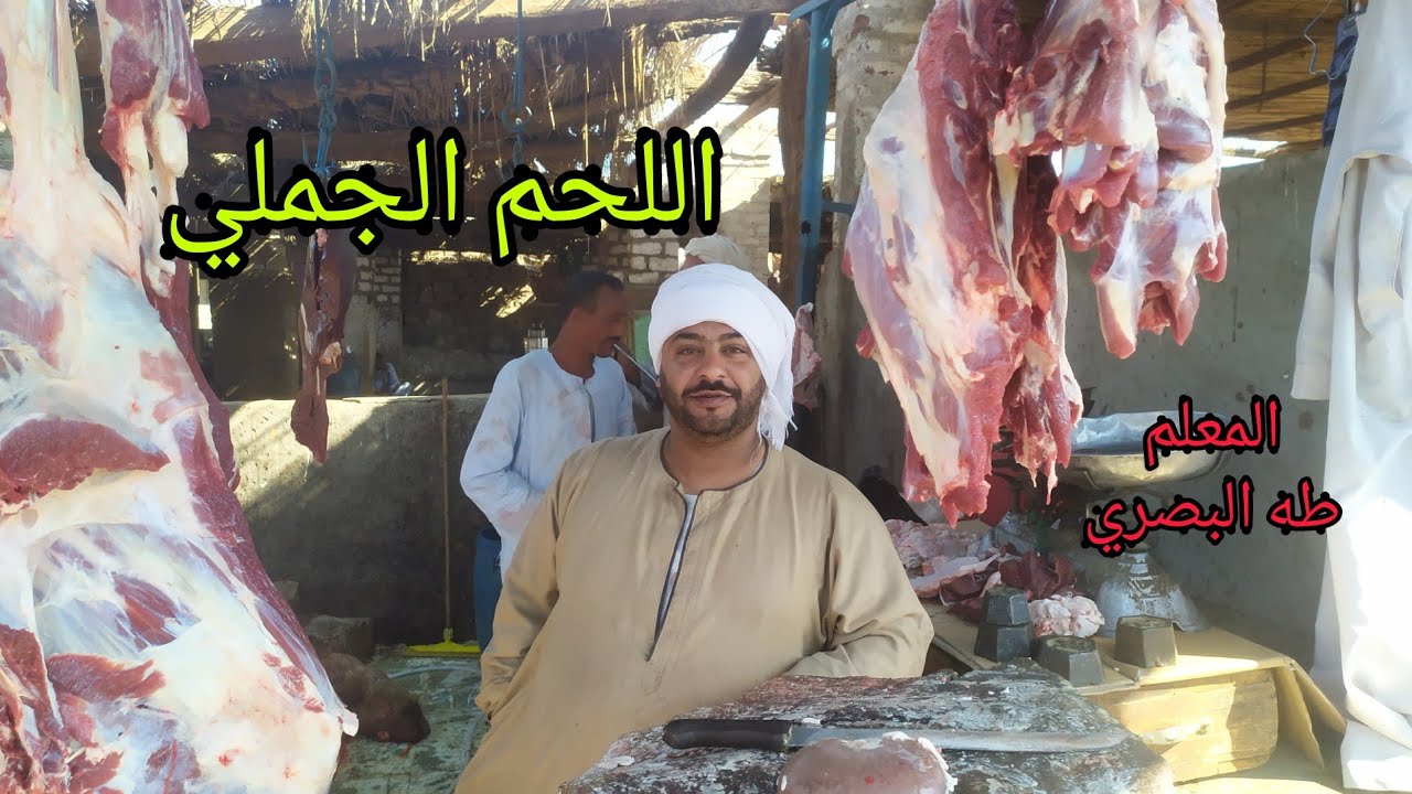 اسعار اللحمه الجملي من داخل سوق دراو مع اكبر جزار لحمه جملي في دراو