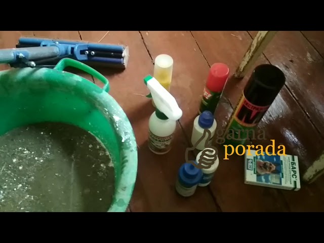 Как избавиться от ковровых блох в доме, в квартире