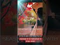 🌱 Seasons of Growth: Rediscovering Yourself Through Life’s Transitions | New Book by Jocelyn Brooks
