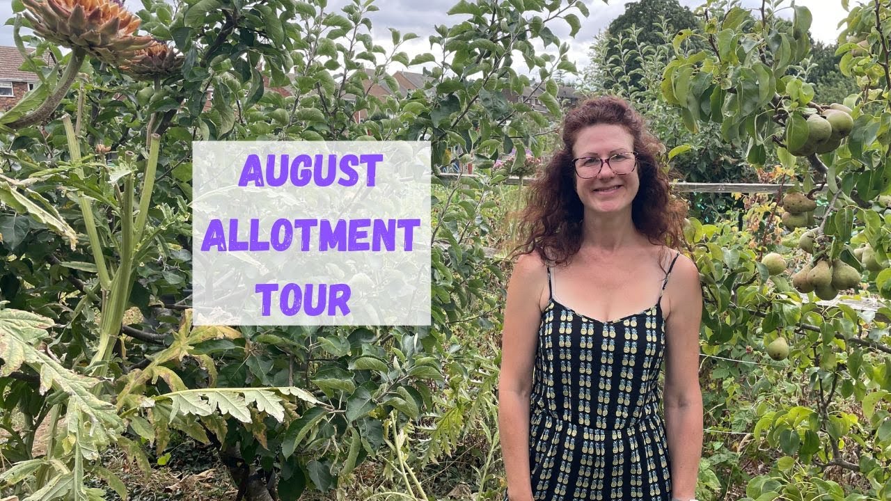 August Allotment Tour - Allotment Gardening For Beginners - YouTube