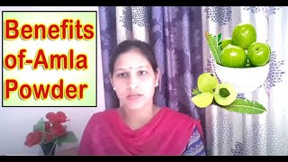 Benefits of Amla Powder अमला के भयंकर फायदे जो कभी सोचे भी नहीं होंगे Health Benefits Amla Powder