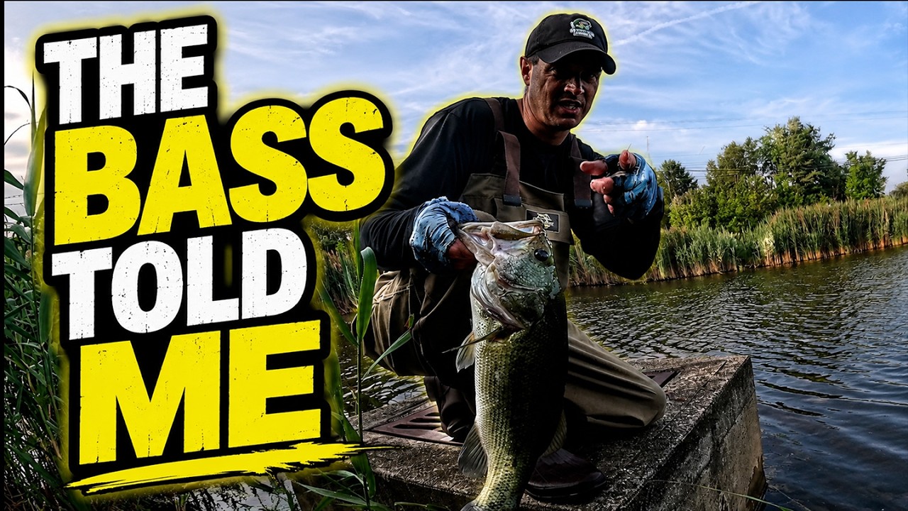 The Bass Told Me How to Fish (I Listened)