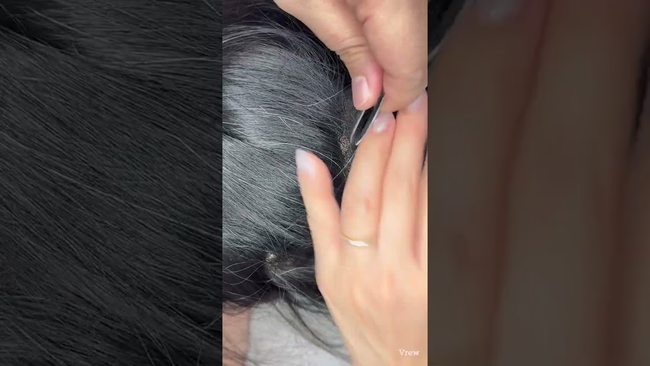 흰머리 뽑지마세요 자르세요