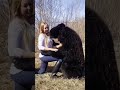 Black Bear With Girl Bear Attack Girl Video Hunting 
