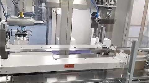 Case Packer & Palletizer