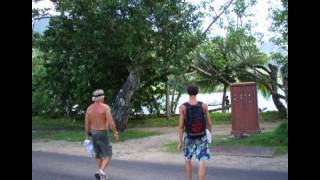 Whistle Wing V Hiking The Belvedier, Moorea Tahiti