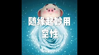 201801 随缘起妙用  空性23052