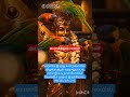 #saisandesham#shirdisaibabadevots#saimotivetion#saimiracls#saiquots#saiworld#saiword#muruga#vela#sai