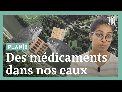 Vidéo: Comment Une Personne Pollue L'environnement