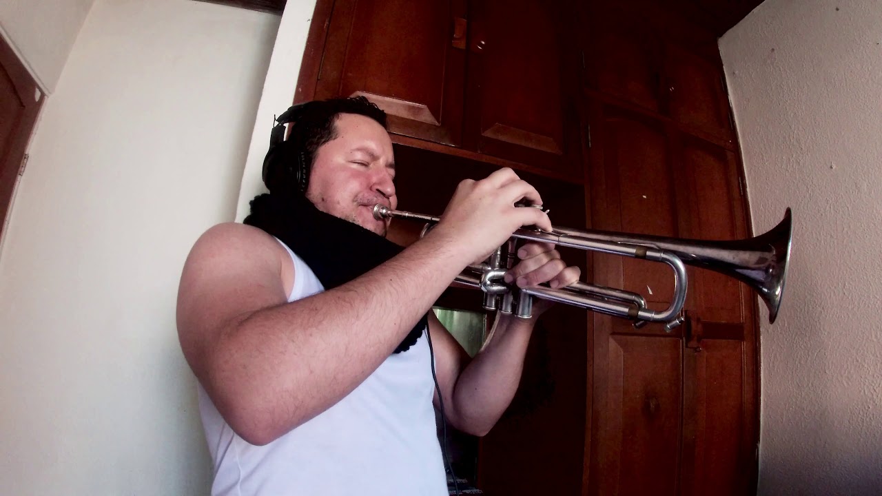 Qué Sabe Nadie - Raphael (Instrumental)