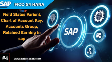 Field Status Variant, Chart of Account Key, Accounts Group, Retained Earning in SAP | SAP FICO |BISP