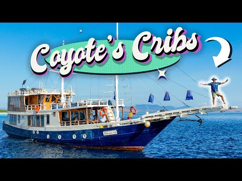 Video Abbiamo vissuto su una barca alle isole Komodo: ecco perché