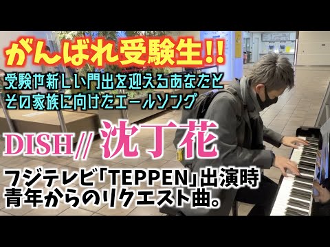 [ストリートピアノ]がんばれ受験生!!TEPPENで青年からリクエストされた曲、DISH//｢沈丁花｣弾いてみた。[ドラマ｢二月の勝者 -絶対合格の教室-｣]