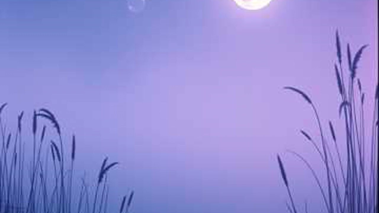 Ethereal Drift for Dreamers - Ambient Music for Deep Sleep