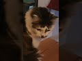 I wasn't doing anything