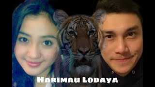 Hikmah Kehidupan - Harimau Lodaya